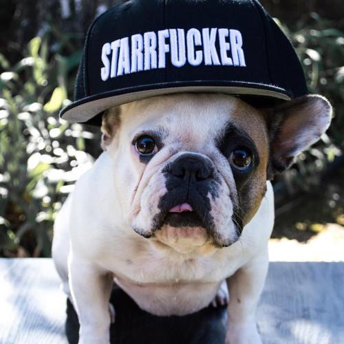 Snapback